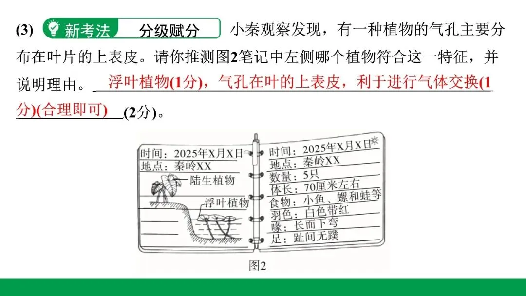地生学考题型突破|河北中考非选择题突破专题一生态系统与生物多样性(后附PPT课件下载链接) 第14张