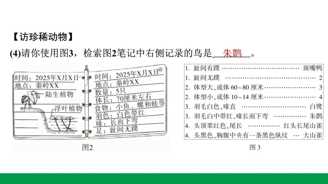 地生学考题型突破|河北中考非选择题突破专题一生态系统与生物多样性(后附PPT课件下载链接) 第15张
