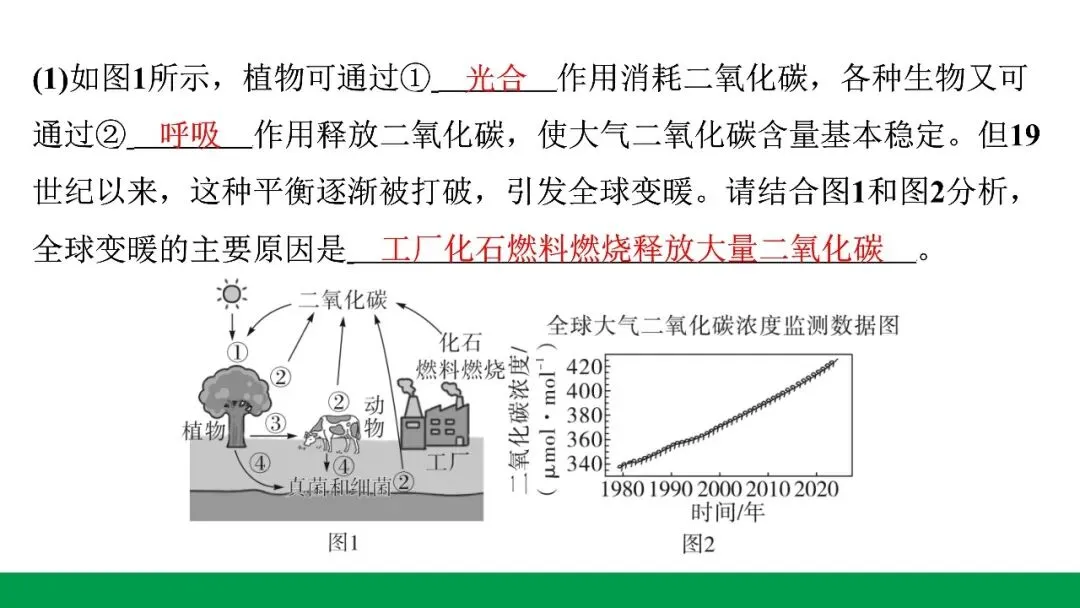 地生学考题型突破|河北中考非选择题突破专题一生态系统与生物多样性(后附PPT课件下载链接) 第18张