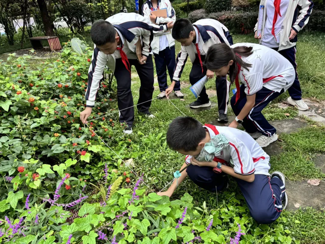 推动中考回归育人本位:教育部部署改革,破“题海战术”促素养提升 第3张 推动中考回归育人本位:教育部部署改革,破“题海战术”促素养提升 第3张