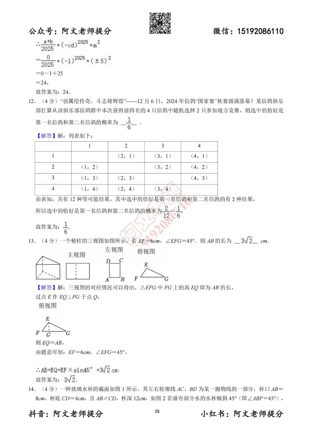 阿文中考第12套2025中考一模潍坊(含答案) 第15张