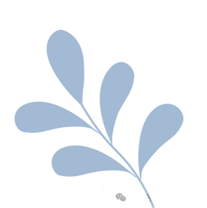 2026年中考分界:五年一贯制报考指南 第2张