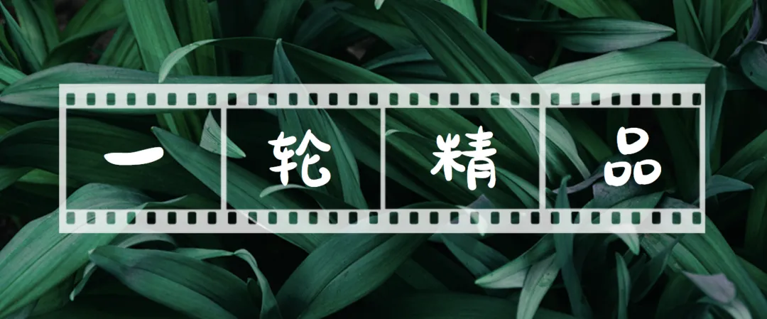 2026年中考数学一轮复习高效培优系列精品讲义共148份word版文件+10份思维导图 第7张