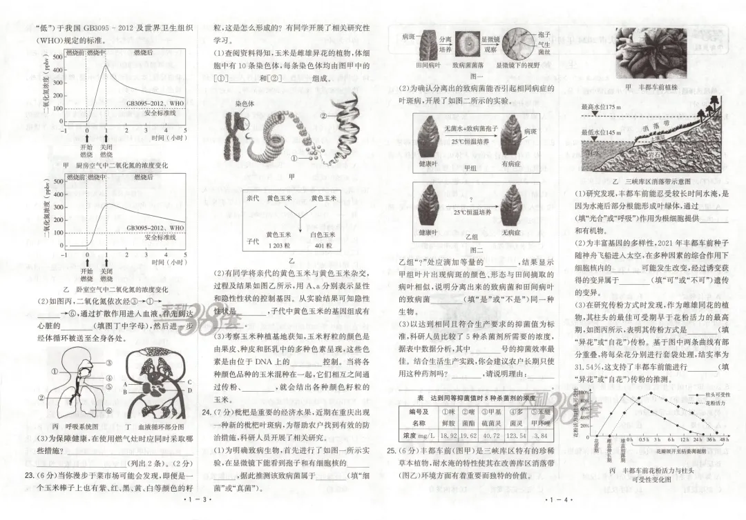 全国中考试题精选天利38系列(2022-2025)-第4张图片-四季读书网