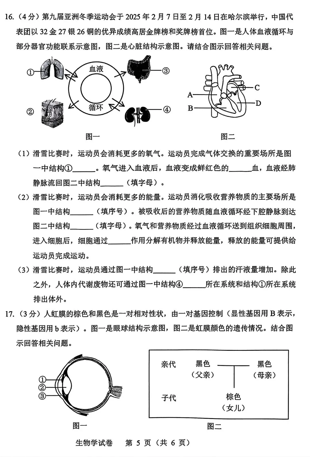 【试卷/小中考】2024-2025辽宁抚顺中考一模生物(含答案)可下载 第5张 【试卷/小中考】2024-2025辽宁抚顺中考一模生物(含答案)可下载 第5张