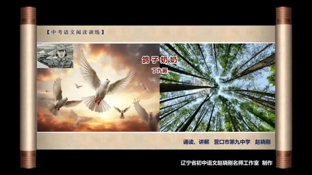 【中考阅读指导】鸽子奶奶(丁九振)江苏盐城2025 第2张