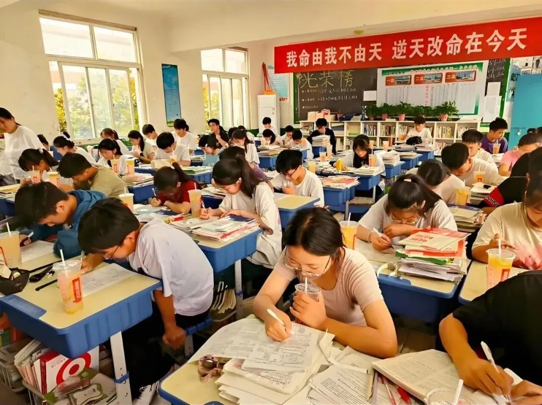 取消中考,教育焦虑真的会消失吗? 第7张
