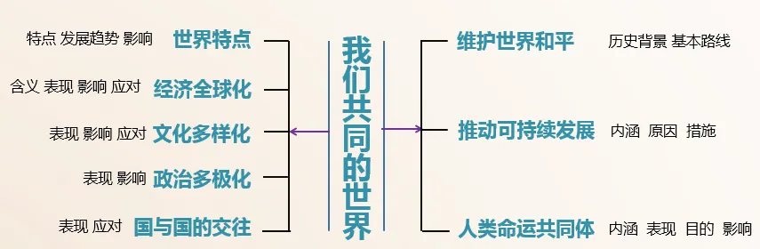 2026年中考道法第一轮复习教案(六册更新完毕) 第3张