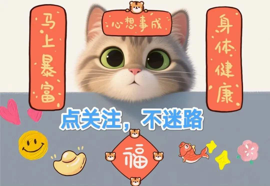 中考作文《错题本上的星光》 第1张
