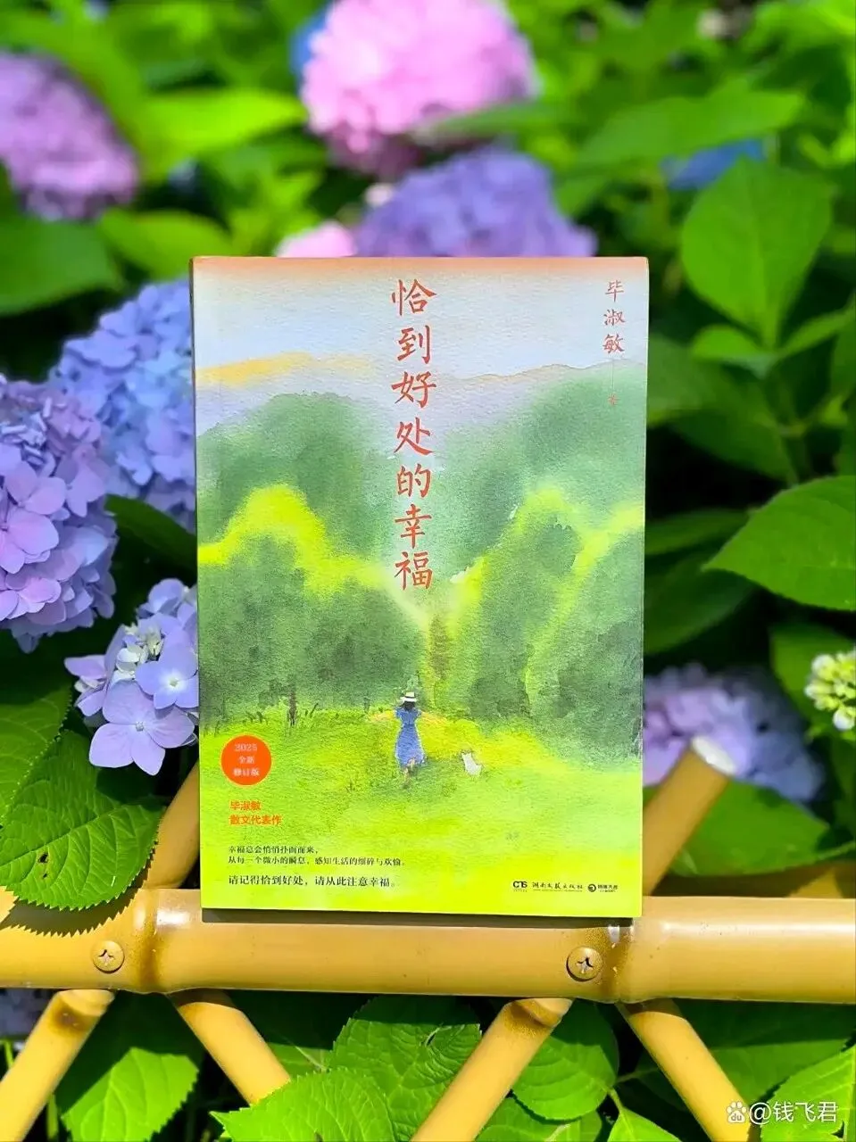 中考现代文阅读热点作家(七) 第2张