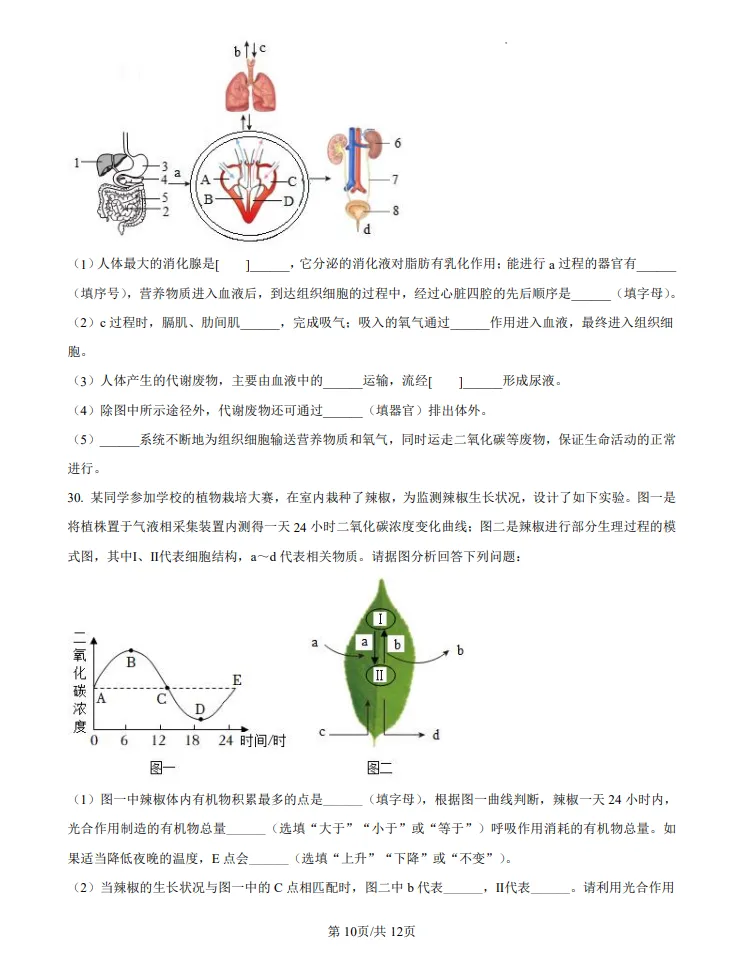 山东2024济南中考生物真题 | 2024年山东省济南市中考生物真题| 高清版,带答案 第10张