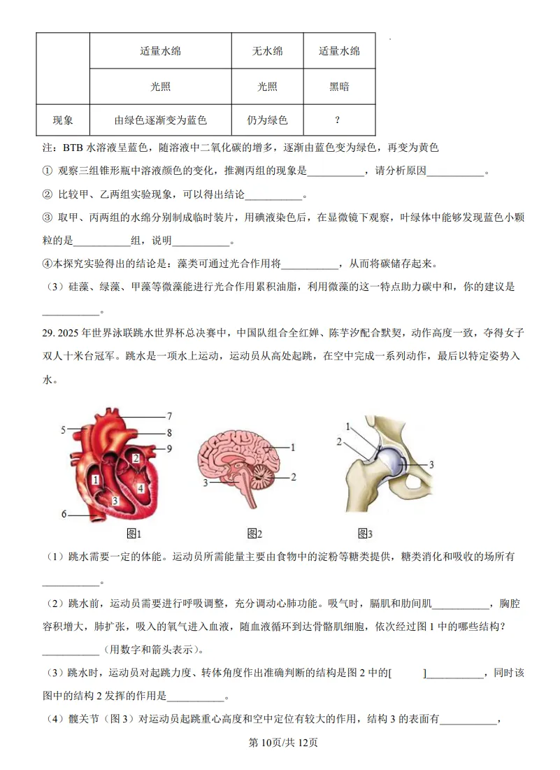 山东鲁教版中考生物真题 | 2025年山东省烟台市中考生物真题| 高清版,带答案 第10张