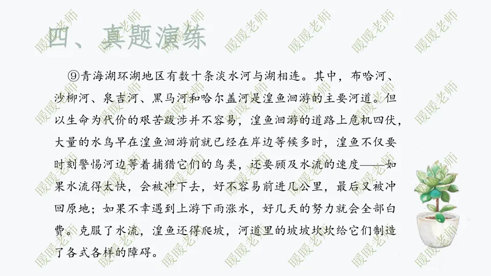 中考复习——说明文题型与技巧 第16张
