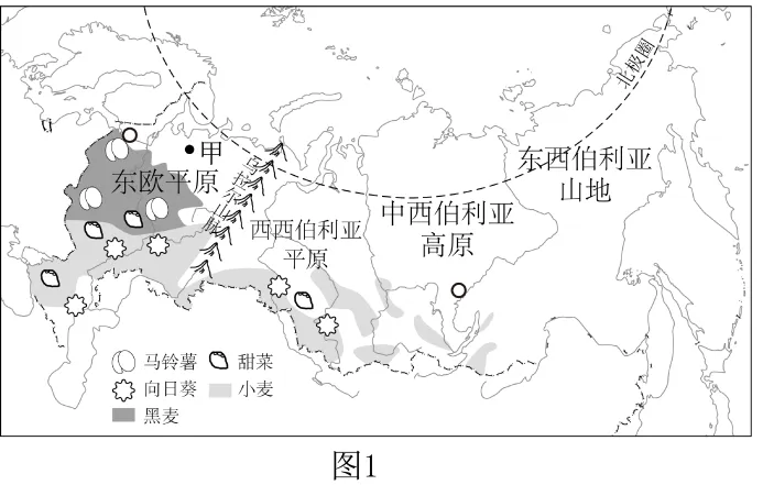 2026年地理中考热点(6)——第12届丝绸之路国际电影节 第11张
