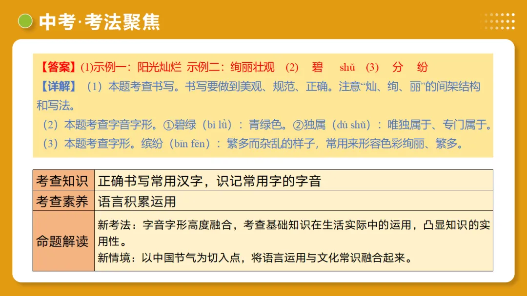 2026年中考复习第01讲《汉字:字音、字形、字义》讲练测 第48张 2026年中考复习第01讲《汉字:字音、字形、字义》讲练测 第48张