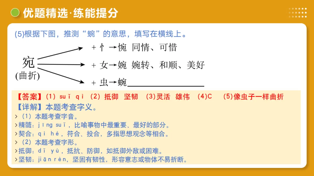2026年中考复习第01讲《汉字:字音、字形、字义》讲练测 第58张 2026年中考复习第01讲《汉字:字音、字形、字义》讲练测 第58张