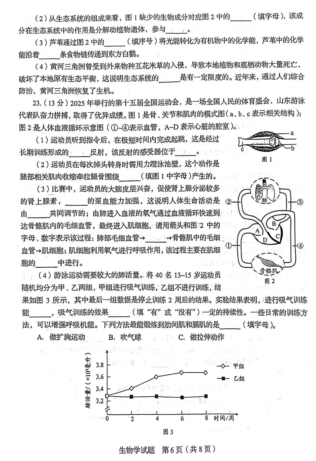 2026年山东中考统考英语、历史、地理、生物样卷 | PDF下载版-第34张图片-四季读书网