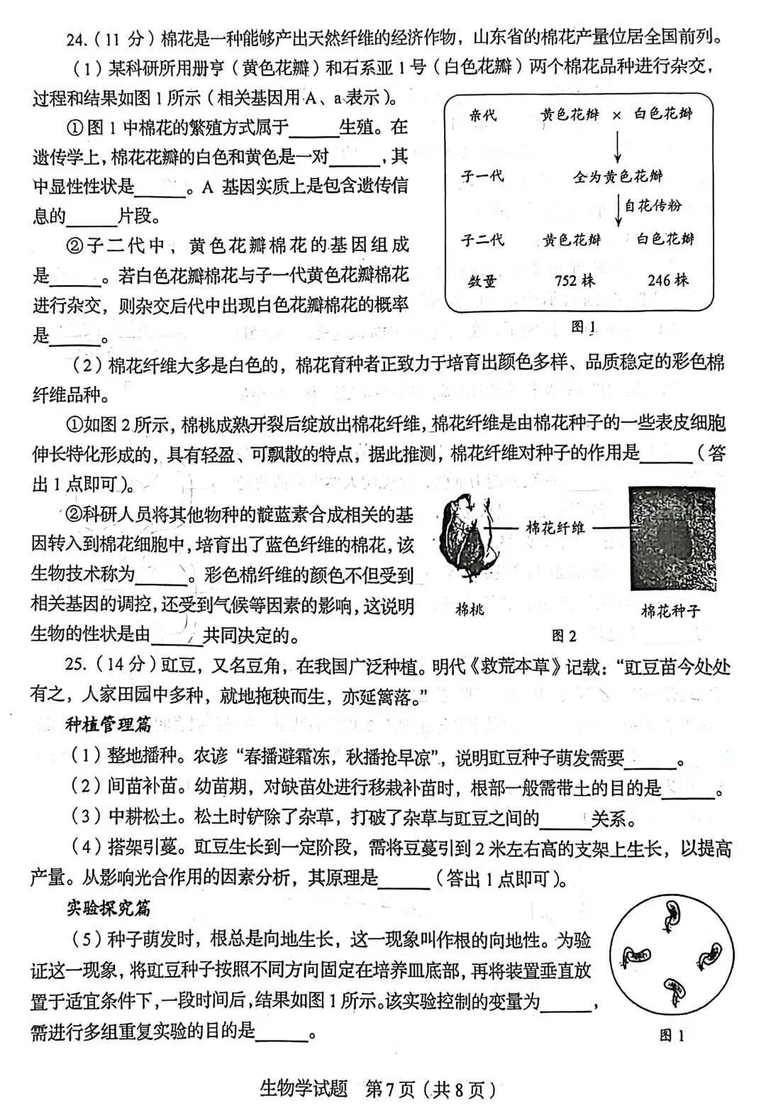 2026年山东中考统考英语、历史、地理、生物样卷 | PDF下载版-第35张图片-四季读书网