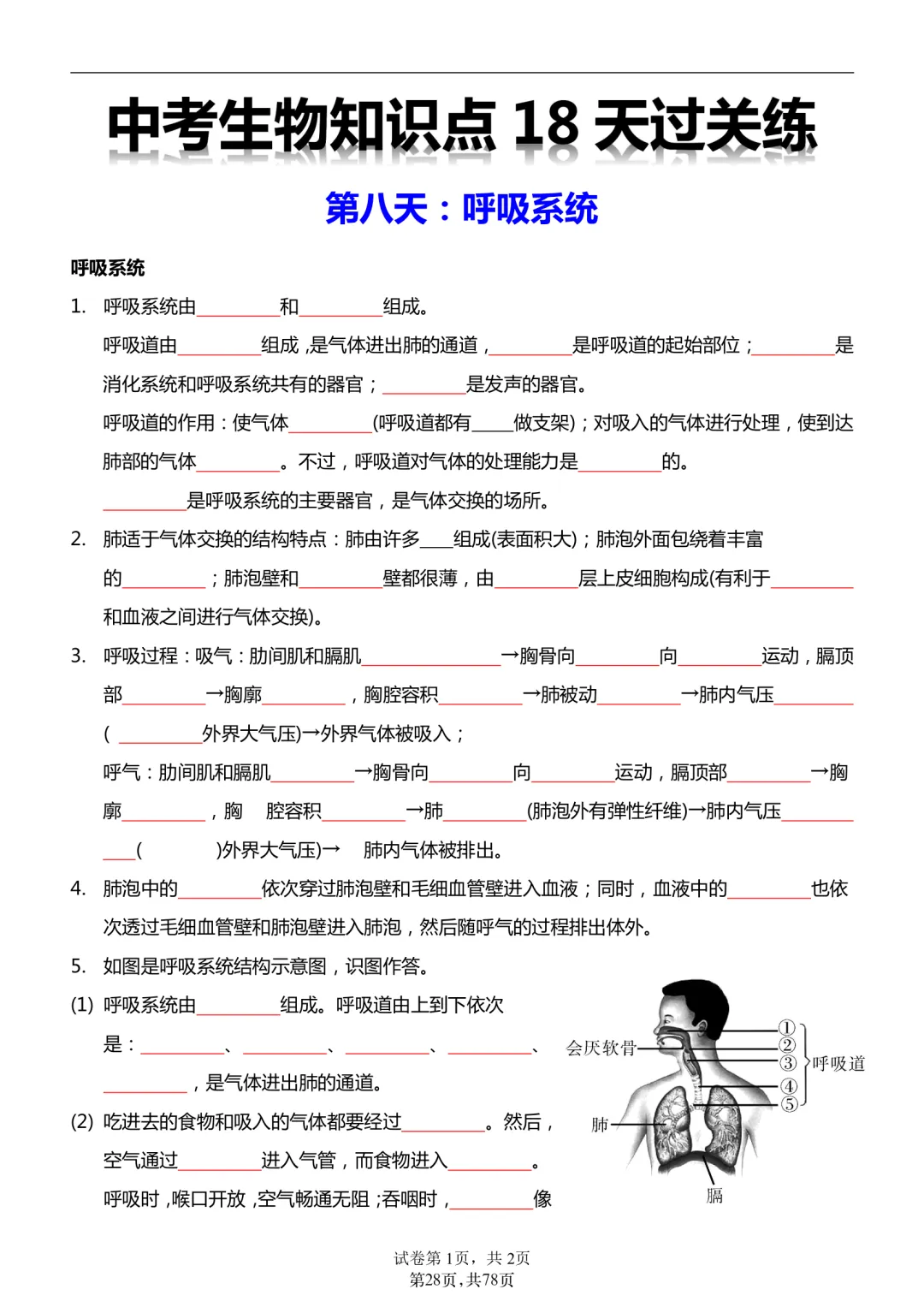 2026年最新版中考会考生物知识点18天过关练,文末有完整版可打印,学霸学习好帮手,建议家长打印! 第18张