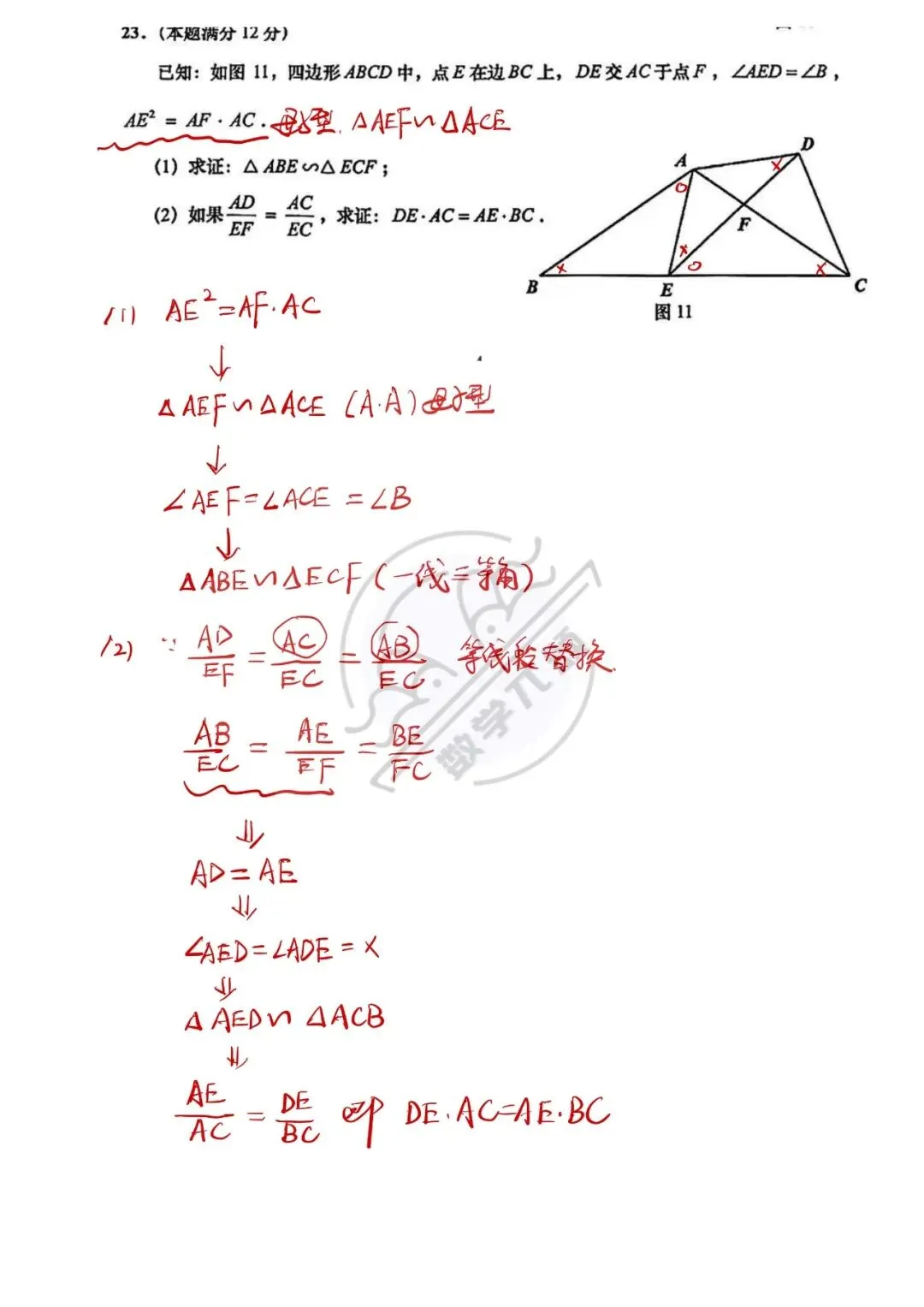 2026上海中考普陀数学一模解析 第8张