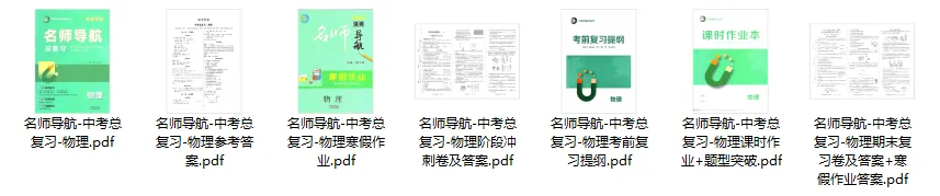 名师导航-中考总复习-物理(2026深圳专版) 第5张