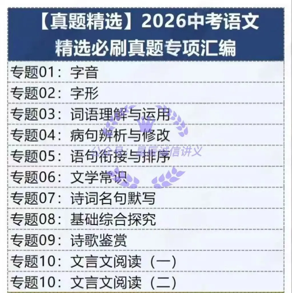 2026中考语文总复习讲通练透系列讲义word版 第3张