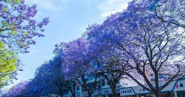 山东省2026年中考统一命题最新情况汇总 第3张