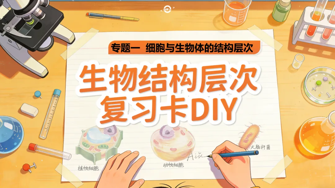 AI赋能生物复习课!——中考生物情境复习《细胞和生物体的结构层次》课件设计“生物编辑招聘”情境,带学生快速进入复习状态!丨自营系列 第2张