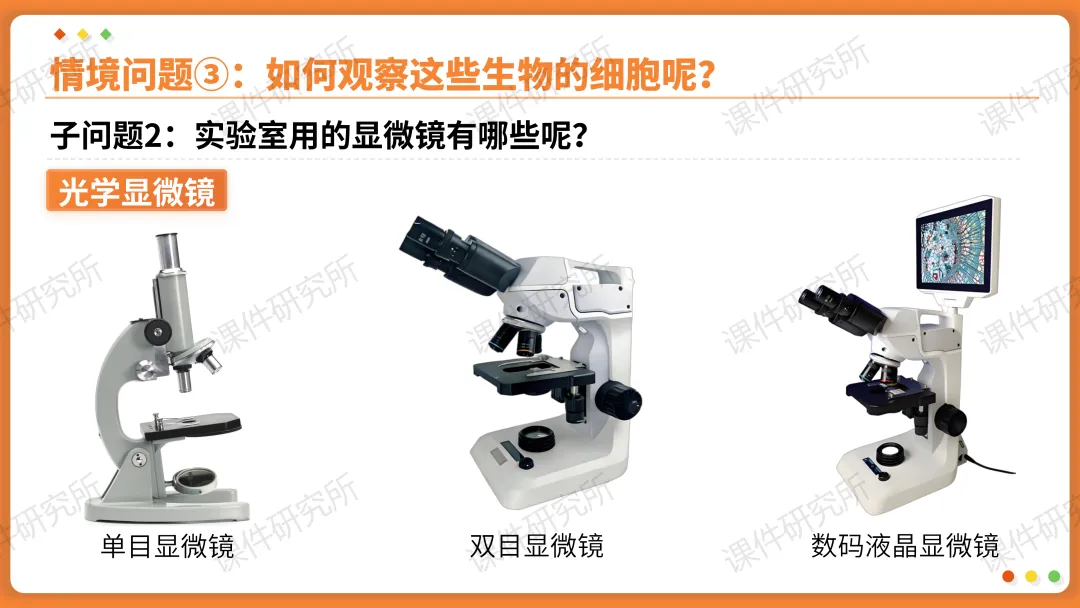 AI赋能生物复习课!——中考生物情境复习《细胞和生物体的结构层次》课件设计“生物编辑招聘”情境,带学生快速进入复习状态!丨自营系列 第9张