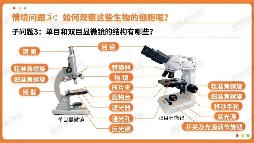 AI赋能生物复习课!——中考生物情境复习《细胞和生物体的结构层次》课件设计“生物编辑招聘”情境,带学生快速进入复习状态!丨自营系列 第10张
