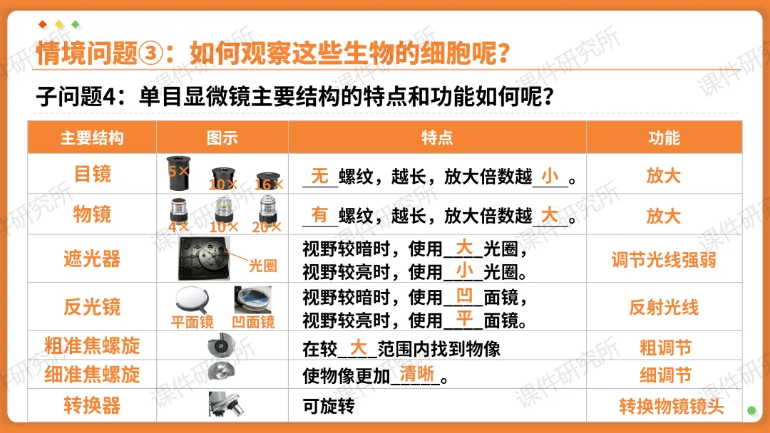 AI赋能生物复习课!——中考生物情境复习《细胞和生物体的结构层次》课件设计“生物编辑招聘”情境,带学生快速进入复习状态!丨自营系列 第11张