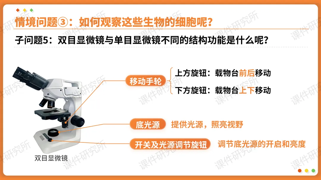 AI赋能生物复习课!——中考生物情境复习《细胞和生物体的结构层次》课件设计“生物编辑招聘”情境,带学生快速进入复习状态!丨自营系列 第12张