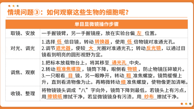 AI赋能生物复习课!——中考生物情境复习《细胞和生物体的结构层次》课件设计“生物编辑招聘”情境,带学生快速进入复习状态!丨自营系列 第14张