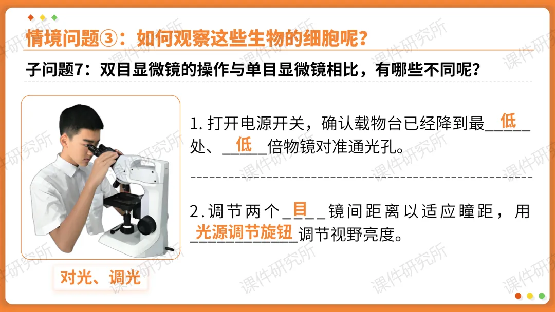 AI赋能生物复习课!——中考生物情境复习《细胞和生物体的结构层次》课件设计“生物编辑招聘”情境,带学生快速进入复习状态!丨自营系列 第15张