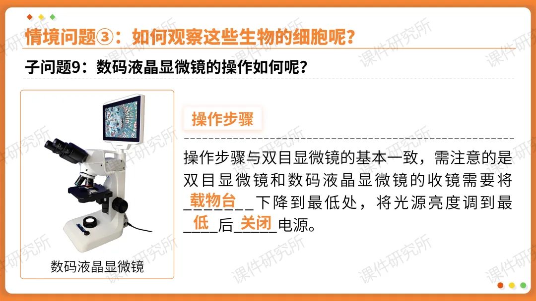 AI赋能生物复习课!——中考生物情境复习《细胞和生物体的结构层次》课件设计“生物编辑招聘”情境,带学生快速进入复习状态!丨自营系列 第17张