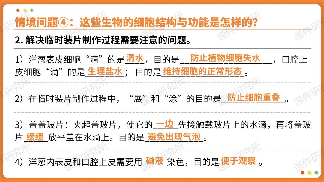 AI赋能生物复习课!——中考生物情境复习《细胞和生物体的结构层次》课件设计“生物编辑招聘”情境,带学生快速进入复习状态!丨自营系列 第20张