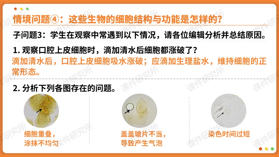 AI赋能生物复习课!——中考生物情境复习《细胞和生物体的结构层次》课件设计“生物编辑招聘”情境,带学生快速进入复习状态!丨自营系列 第22张