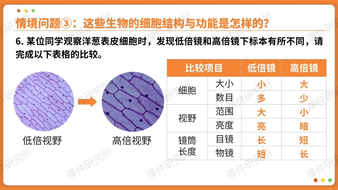 AI赋能生物复习课!——中考生物情境复习《细胞和生物体的结构层次》课件设计“生物编辑招聘”情境,带学生快速进入复习状态!丨自营系列 第25张