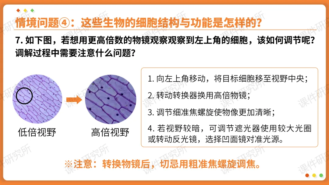 AI赋能生物复习课!——中考生物情境复习《细胞和生物体的结构层次》课件设计“生物编辑招聘”情境,带学生快速进入复习状态!丨自营系列 第26张