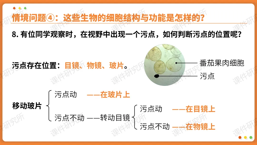 AI赋能生物复习课!——中考生物情境复习《细胞和生物体的结构层次》课件设计“生物编辑招聘”情境,带学生快速进入复习状态!丨自营系列 第27张