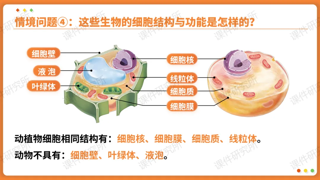 AI赋能生物复习课!——中考生物情境复习《细胞和生物体的结构层次》课件设计“生物编辑招聘”情境,带学生快速进入复习状态!丨自营系列 第29张