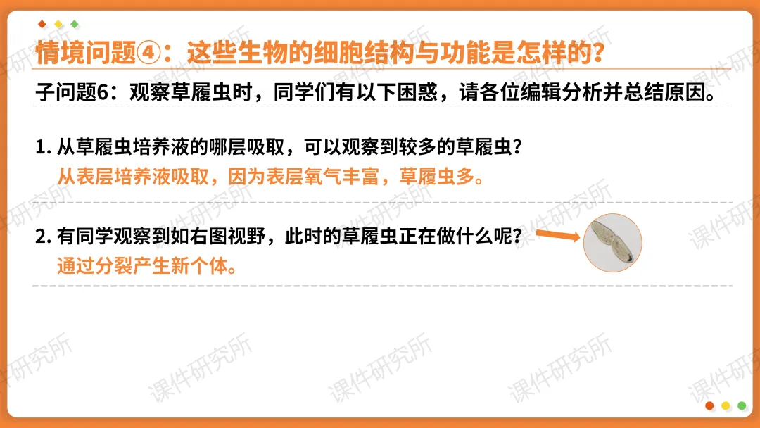 AI赋能生物复习课!——中考生物情境复习《细胞和生物体的结构层次》课件设计“生物编辑招聘”情境,带学生快速进入复习状态!丨自营系列 第31张