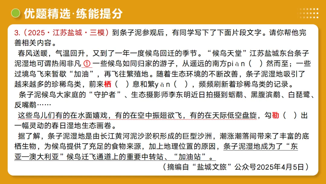 2026年中考复习第03讲《句子:病句、修辞、单复句》讲练测 第58张