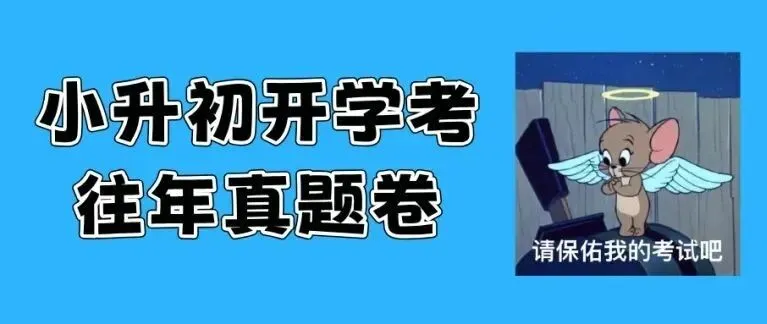体育如何拿下满分50分?25年中考体育项目及评分标准一览 第9张