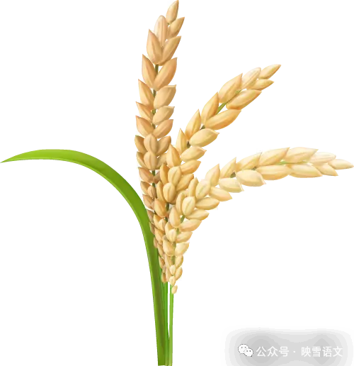 中考作文真题全攻略|收集自己“美”的证据(2025年陕西省中考) 第1张