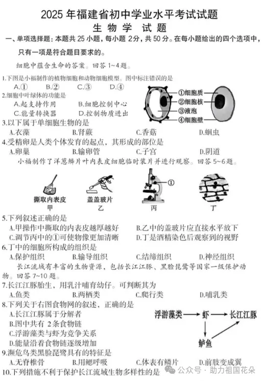 2013-2025历年【山东省】中考真题卷分类汇编/子母卷含答案解析(数学英语文生物理化学地理生物道法历史)(pdf电子版免费下载) 第16张