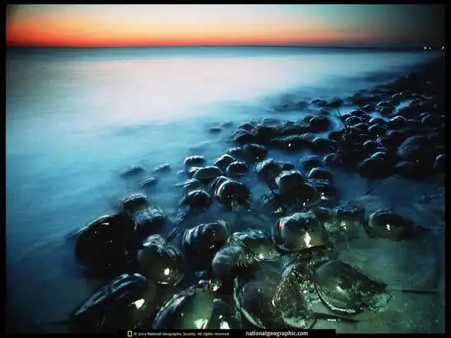 《西游记》中考看图题 第1张