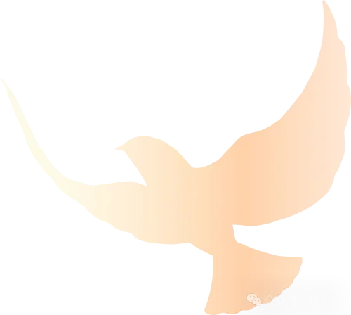 2026年杭州中考倒计时!民办高中和国际高中怎么选?家长了解一下! 第25张
