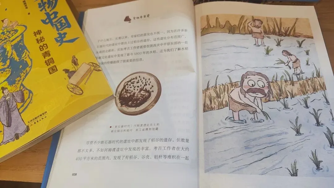中考历史开卷反而丢分?86分敲响警钟:小学欠的账,初中藏不住 第29张