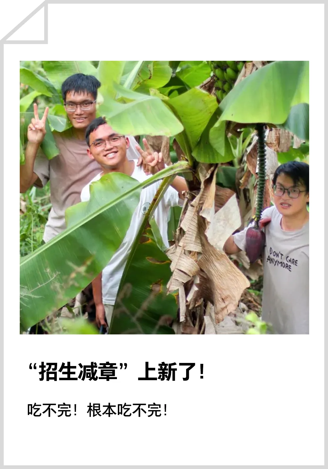 女孩中考742分上专科是“目光短浅”?网友吵翻了 第16张
